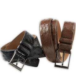 Mezlan Rollini Genuine Ostrich Belt- Belts