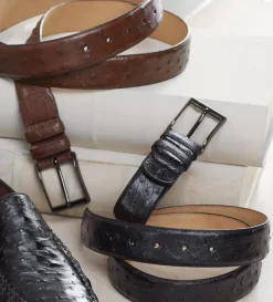 Mezlan Rollini Genuine Ostrich Belt- Belts