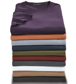 Robert Barakett Georgia Short Sleeve Crewneck- Tees