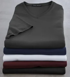 Robert Barakett Georgia V-Neck Short Sleeve Tee Shirt- Tees