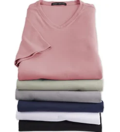 Robert Barakett Georgia V-Neck Short Sleeve Tee Shirt- Tees