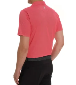 Robert Graham Short Sleeve Hyde Knit Polo- Polos & Knits