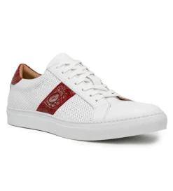 Zelli Olympias Crocodile Trim Calfskin Sneaker- Casual Shoes