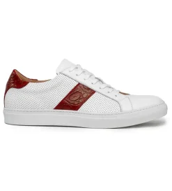 Zelli Olympias Crocodile Trim Calfskin Sneaker- Casual Shoes